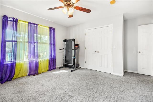 interior space with ceiling fan and carpet