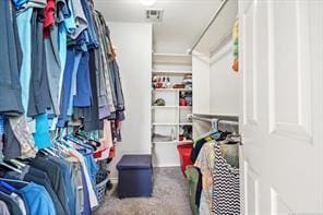 spacious closet with carpet flooring