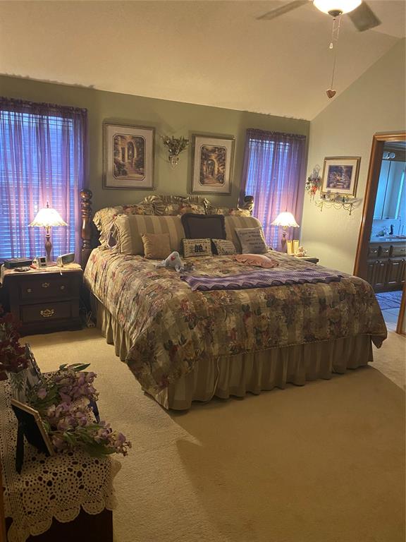 carpeted bedroom with multiple windows, ceiling fan, ensuite bathroom, and vaulted ceiling