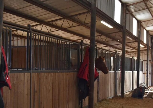 view of horse barn