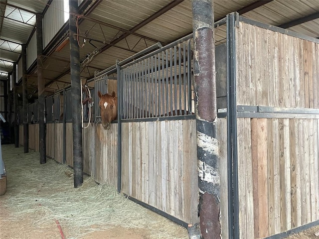 view of horse barn