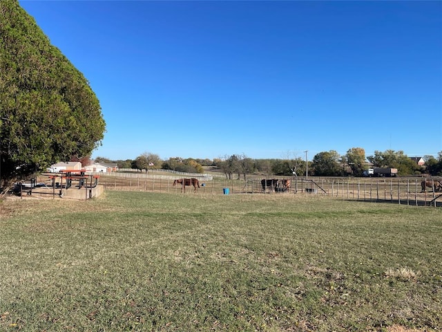 view of yard with a rural view