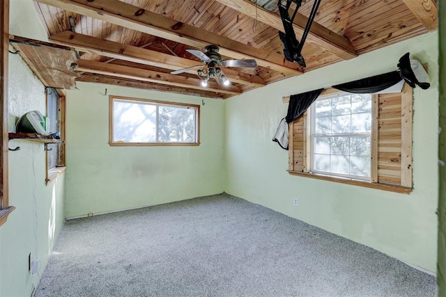 carpeted empty room with ceiling fan, a healthy amount of sunlight, wooden ceiling, and beam ceiling