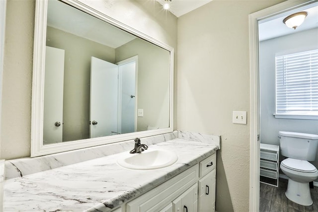 bathroom with vanity, wood-type flooring, and toilet