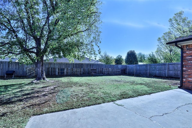 view of yard featuring a patio area