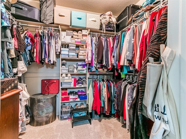 spacious closet featuring carpet flooring