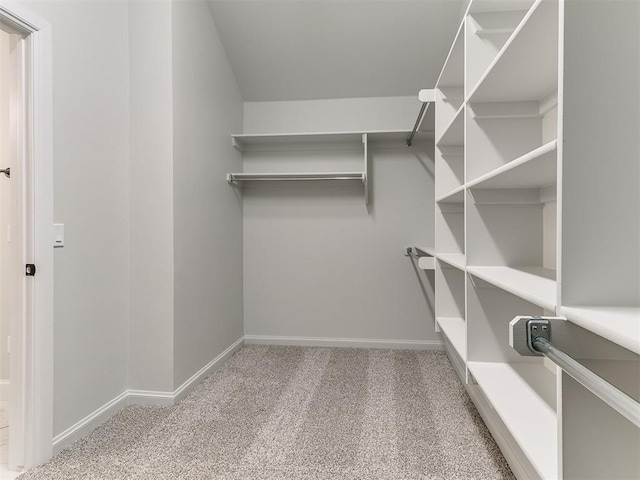 spacious closet featuring carpet floors