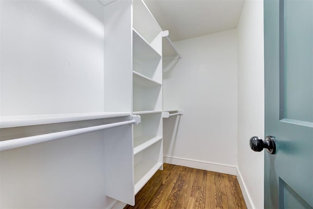 spacious closet featuring dark hardwood / wood-style flooring