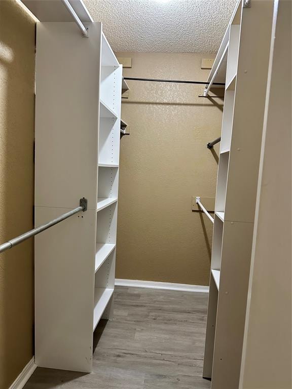 spacious closet with light hardwood / wood-style flooring