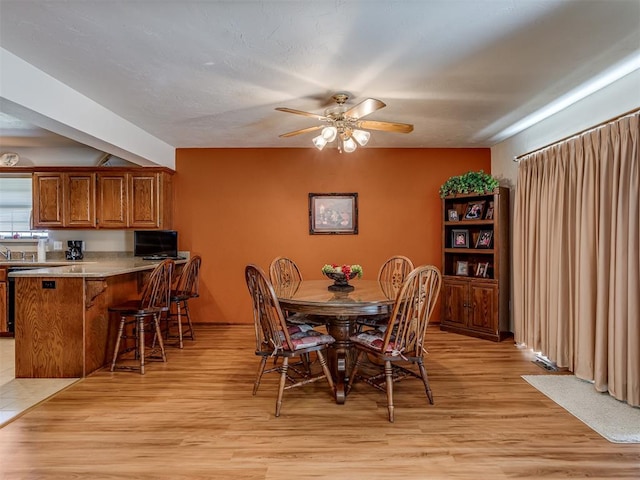 dining room with ceiling fan and light hardwood / wood-style floors