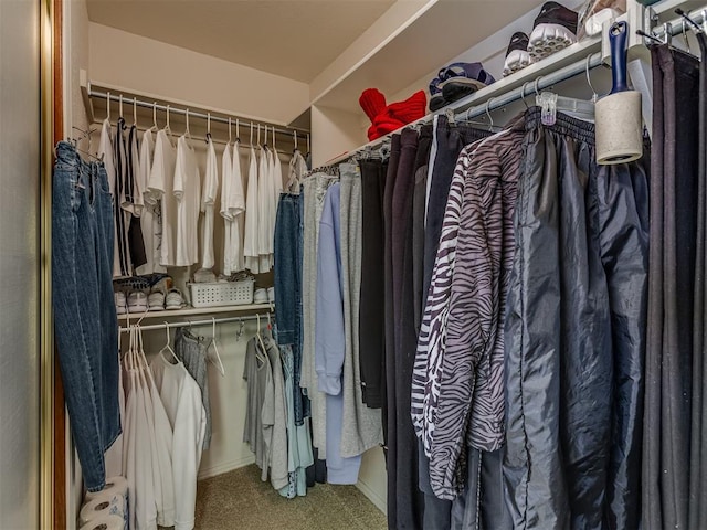 spacious closet with carpet