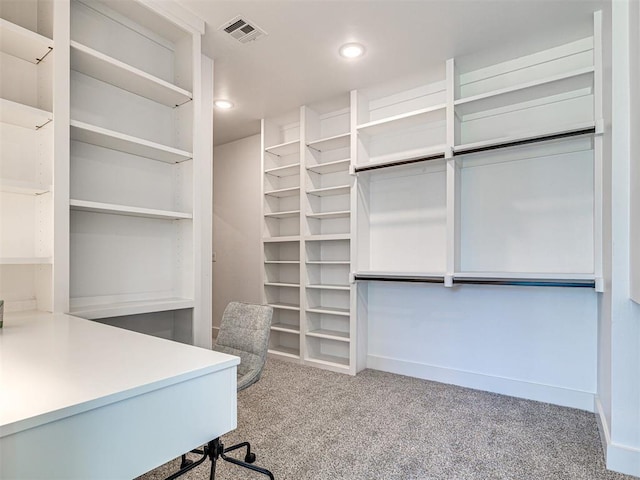 spacious closet featuring carpet flooring