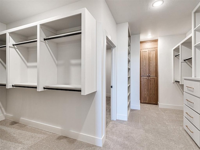 spacious closet featuring light carpet