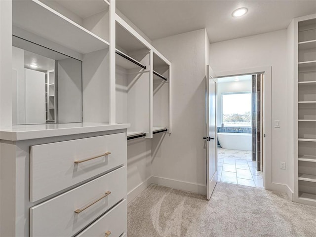 spacious closet with light colored carpet