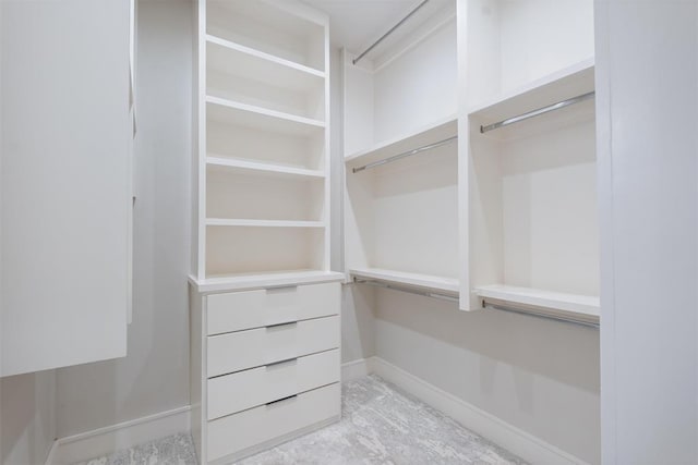 view of spacious closet