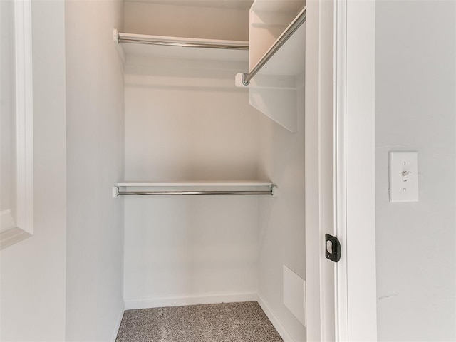 spacious closet featuring carpet flooring