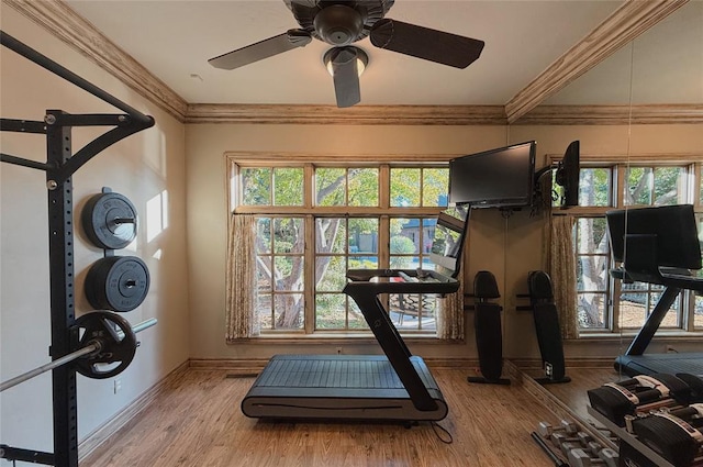 workout room featuring a wealth of natural light, hardwood / wood-style floors, and crown molding