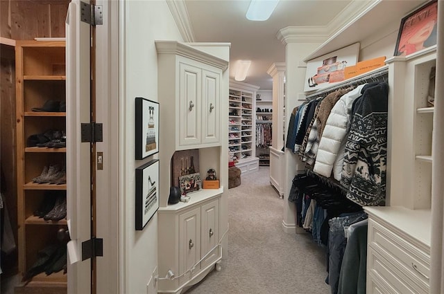 walk in closet with light carpet