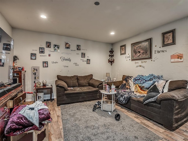 living room featuring wood-type flooring