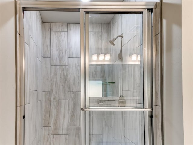 bathroom featuring a shower with shower door