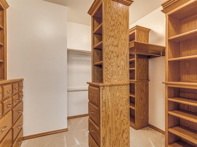 spacious closet with light carpet