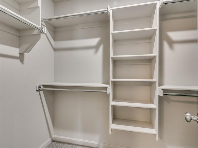 spacious closet featuring carpet flooring