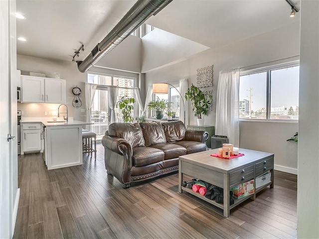 living room featuring sink and dark wood-type flooring