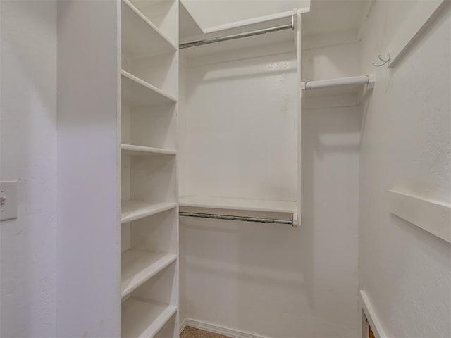 view of walk in closet