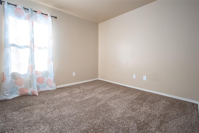 spare room featuring carpet floors