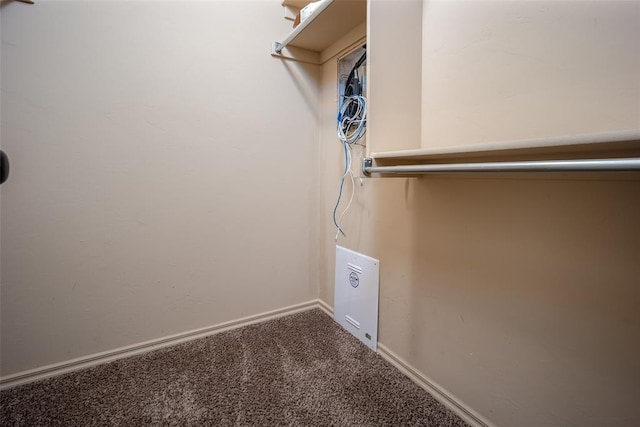 spacious closet with carpet flooring