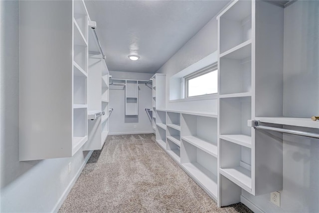 walk in closet with light carpet