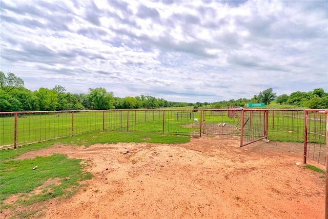 view of yard with a rural view