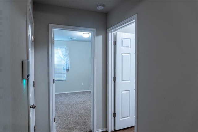 corridor with carpet floors