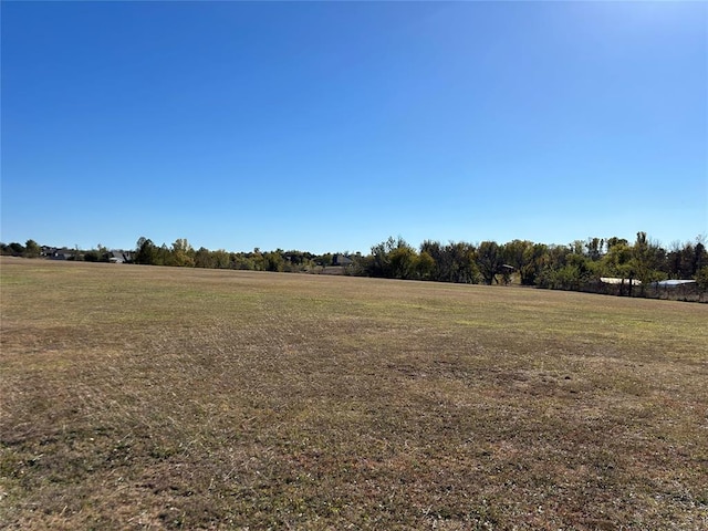 view of yard with a rural view