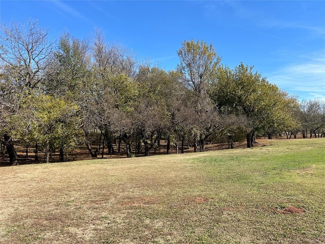 view of yard featuring a rural view