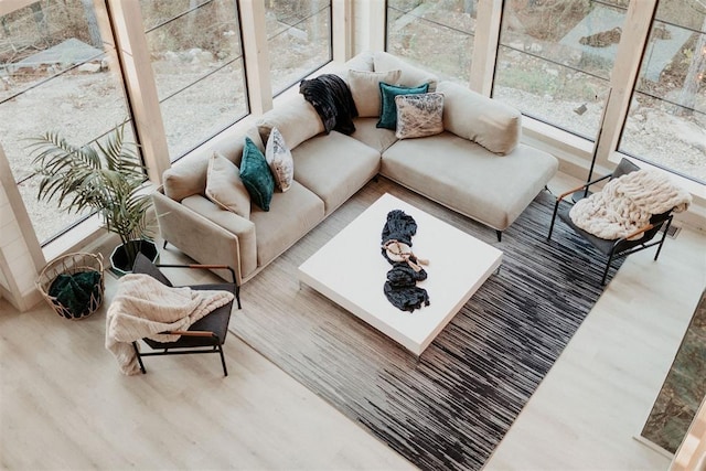 living room featuring wood-type flooring