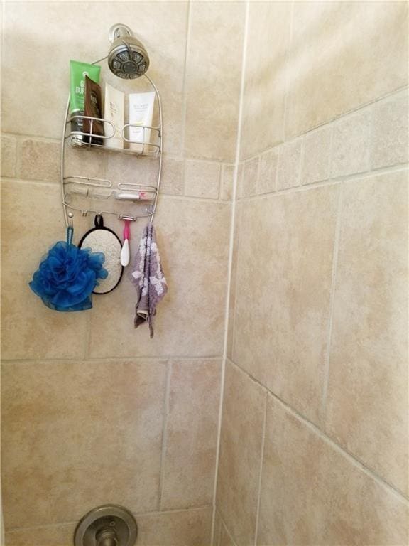 interior details featuring walk in shower