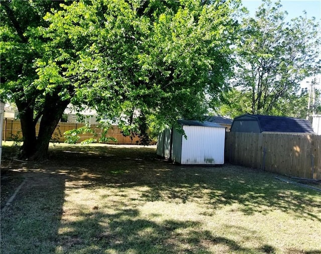 view of yard with a storage unit