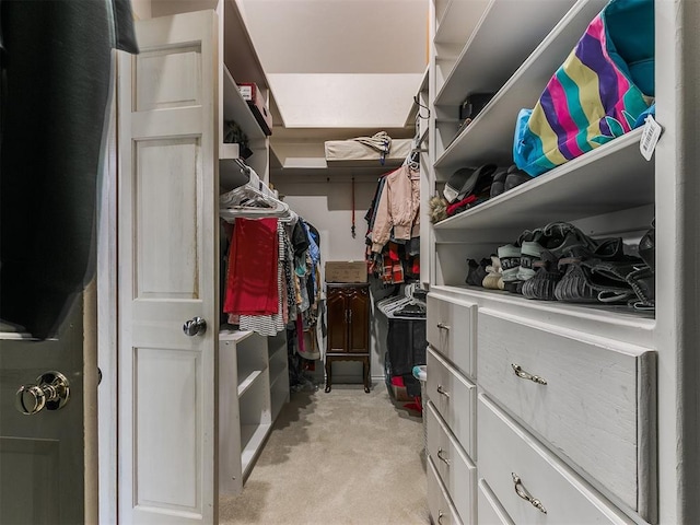 walk in closet with light carpet