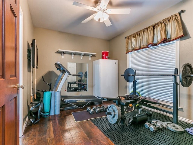 exercise room with ceiling fan and dark wood-type flooring