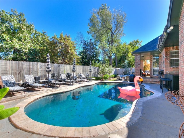 view of swimming pool with a patio