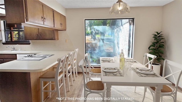 dining space with sink and light hardwood / wood-style floors