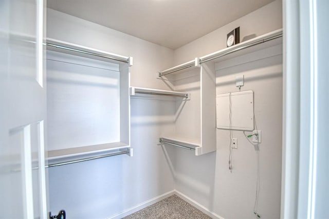 spacious closet with carpet flooring