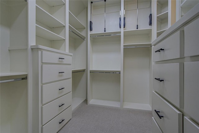 spacious closet featuring light colored carpet