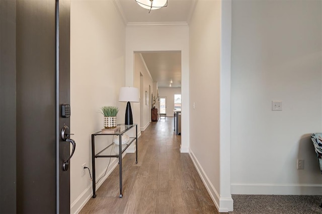 hallway featuring crown molding and hardwood / wood-style flooring