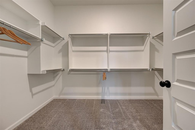 spacious closet with carpet