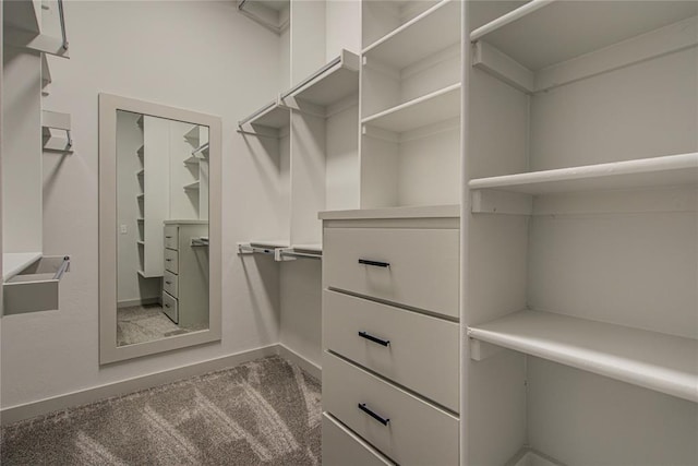 spacious closet featuring carpet