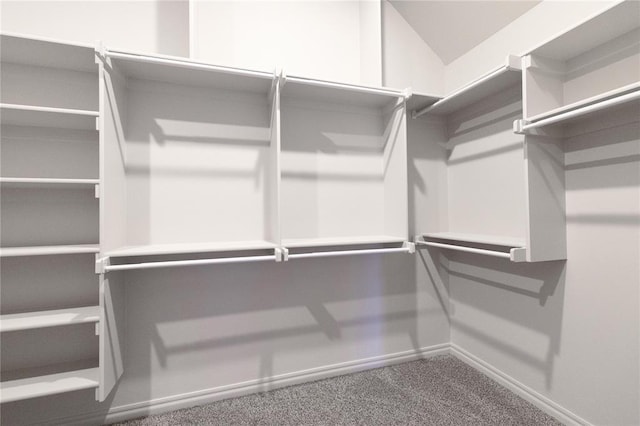 spacious closet featuring carpet flooring