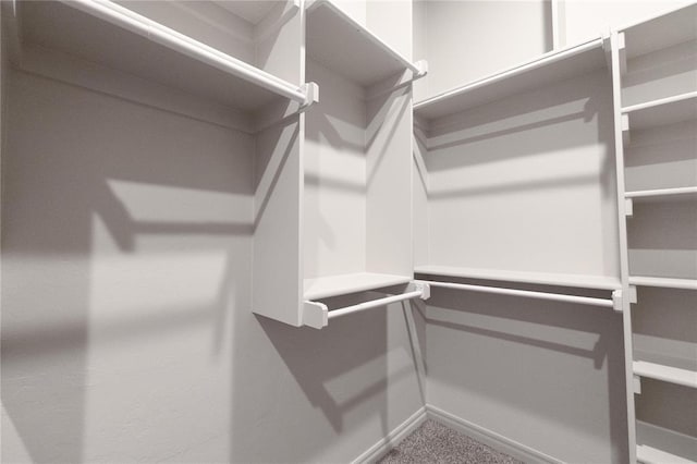 spacious closet with carpet