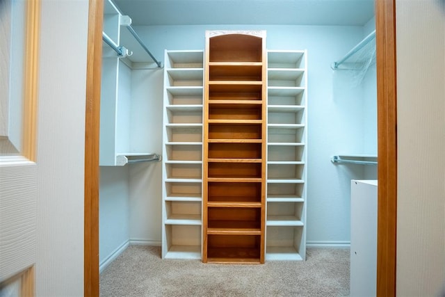 walk in closet featuring light carpet